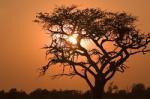 Studiosus - Namibia – Botswana - Wunder der Natur