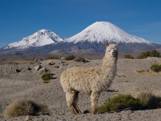 Ikarus Tours - Faszination Anden: Chile - Bolivien - Peru