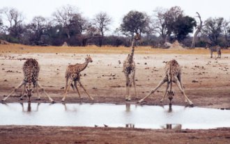 Marco Polo Reisen - Sambia - Ungebändigtes Afrika