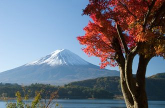 Meiers Weltreisen - Japan für Individualisten (nur Landprogramm)