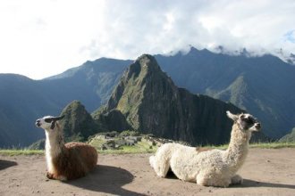 Studiosus - Peru - Höhepunkte mit Amazonien