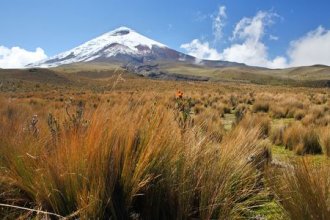 Marco Polo Reisen - Ecuador - Auf der Avenida de los Volcanes