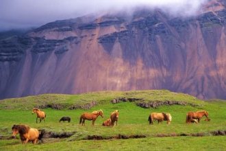 Berge & Meer - Island im Winter entdecken