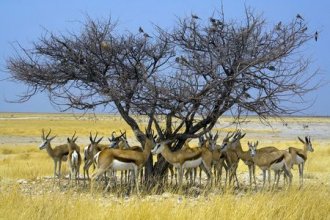 Marco Polo Reisen - Namibia - Einsam, wild und voller Zauber