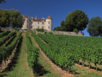 Wikinger Reisen - Romantische Tage in Colmar
