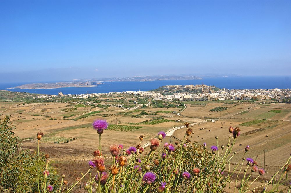 Gebeco - Mediterranes Doppel  Malta und Gozo ausf&uuml;hrlich entdecken