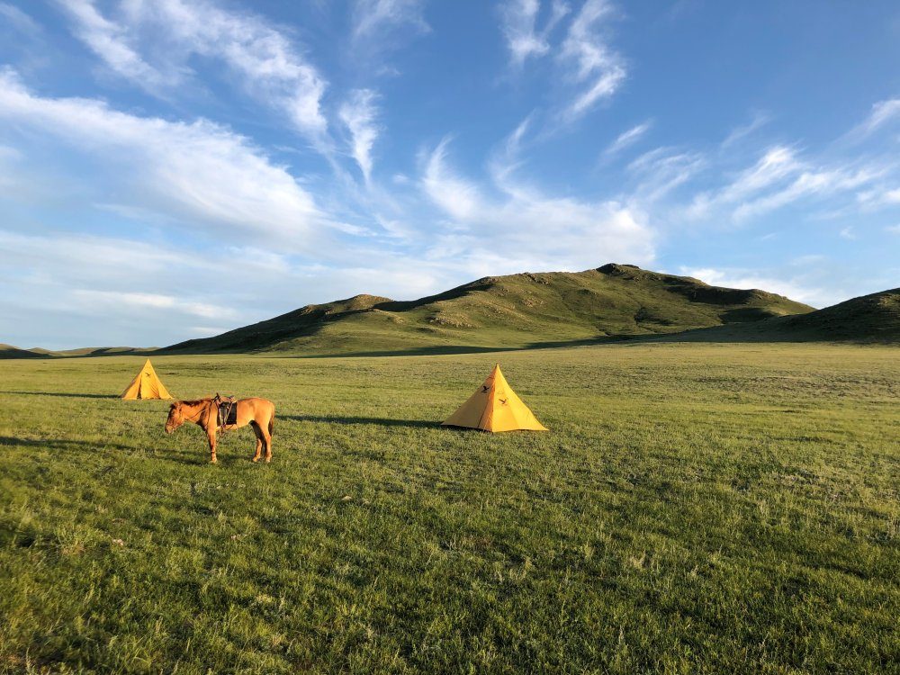 Hauser exkursionen - Mongolei – Zu Gast in der Weite
