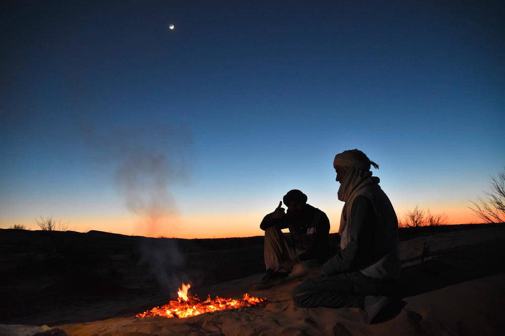 Wikinger Reisen - Im Takt der Beduinen – Kameltrekking durch die Sahara