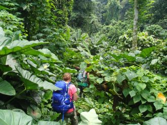 Reisen mit Sinnen - S&atilde;o Tom&eacute; aktiv: Inselumrundung