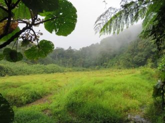 Reisen mit Sinnen - Wandern und Relaxen