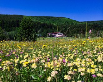 Reisen mit Sinnen - Wanderwoche in der Niederen Tatra