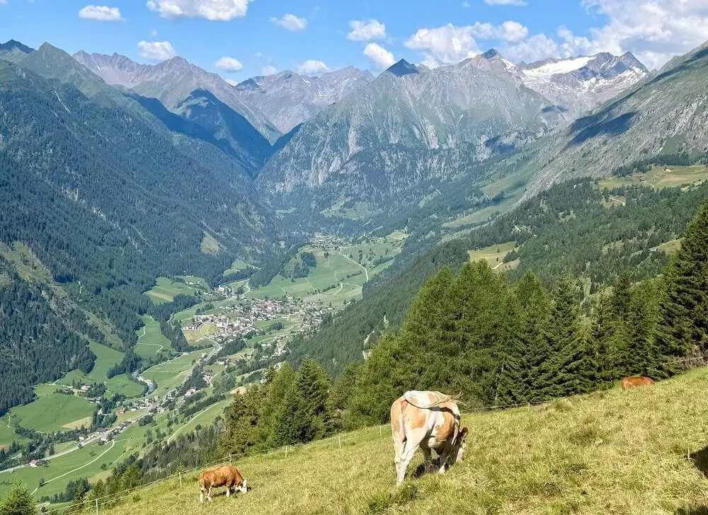 Hintergrund