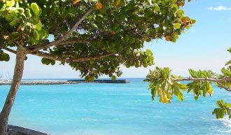 Oasis Travel - La Reunion und Mauritius
