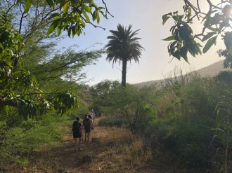 Reisen mit Sinnen -  bei Kulturreisen.de