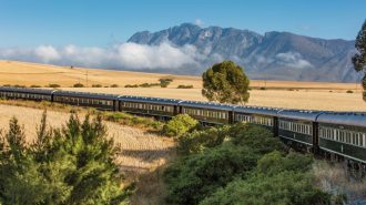 Meiers Weltreisen - Rovos Rail – "The Pride of Africa"