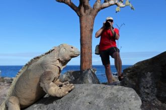 DIAMIR Erlebnisreisen - Ecuador | Galapagos - Faszinierende Wunderwelten – Anden, Amazonas und Galapagos