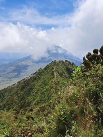 DIAMIR Erlebnisreisen - Ruanda - Die Vulkane der Virunga-Berge, Gorillas und entlang des Kivu-Sees