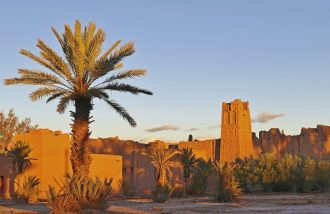 DIAMIR Erlebnisreisen - Marokko - Medinas, Oasen und „Berber-Whiskey“