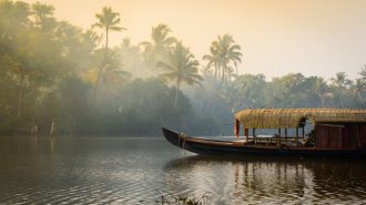 DIAMIR Erlebnisreisen - Indien | Tamil Nadu • Kerala - Hindu-Götter und Kokospalmen