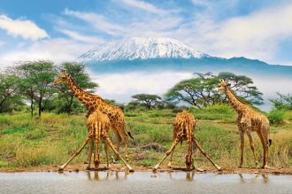 Meiers Weltreisen - Die große Kenia Safari