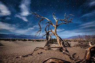 Dertour - Las Vegas & die Nationalparks