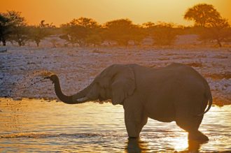 DIAMIR Erlebnisreisen - Namibia - Zwischen Sossusvlei und Etosha