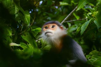 DIAMIR Erlebnisreisen -  bei Kulturreisen.de