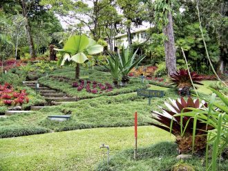 Meiers Weltreisen - Pura Vida - Costa Rica hautnah (Privatreise)