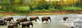 Bavaria Fernreisen - Kleingruppen-Rundreise & Baden – Sri Lanka & Malediven
