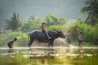 Bavaria Fernreisen - Höhepunkte Indochinas - Kleingruppen-Rundreise - Laos, Vietnam & Kambodscha