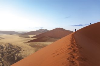 Ikarus Tours - Namibia: Wüste - Küste - Busch