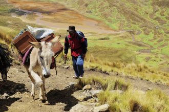 Hauser exkursionen - Peru – Umrundung der Cordillera Huayhuash