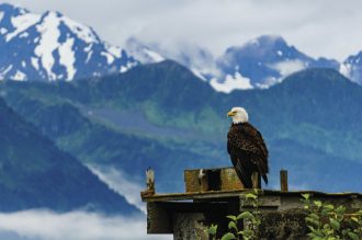 Ikarus Tours - Naturwunder Alaska und Yukon