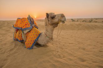 SKR Reisen - Indien: Rajasthan – Die ausführliche Reise