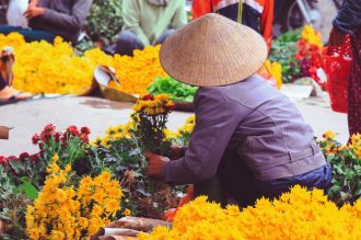SKR Reisen - Vietnam: Höhepunkte mit Zentralvietnam