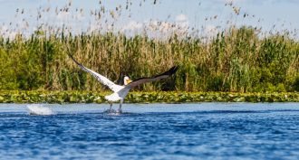 1AVista Reisen - Große Donauvielfalt 2025 – 17 Tage Flusskreuzfahrt Donau – MS VistaStar