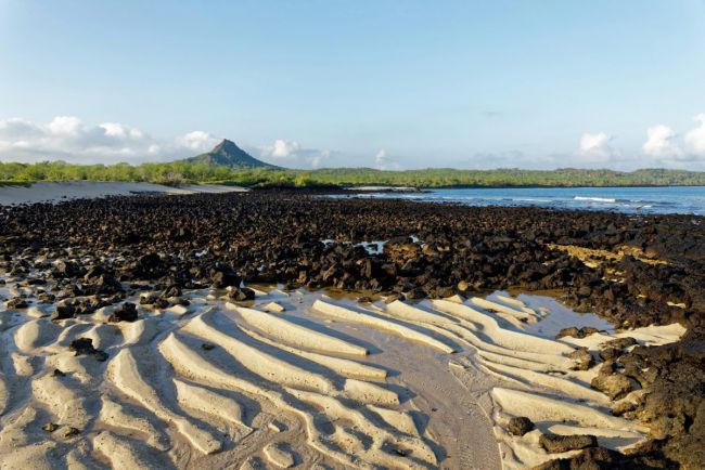 Cerro Dragon, Insel Santa Cruz
