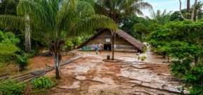 Spitzkrokodil-Schl&uuml;pfling