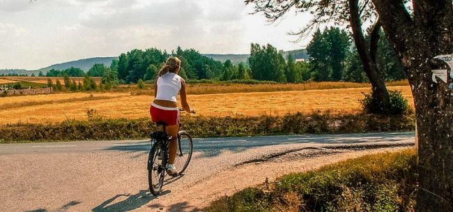 Danziger Altstadt mit Krantor