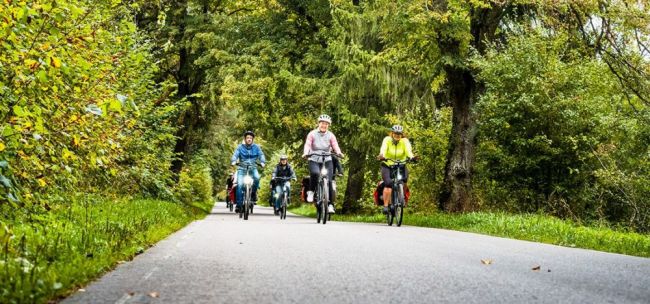 Die Marienburg in Malbork
