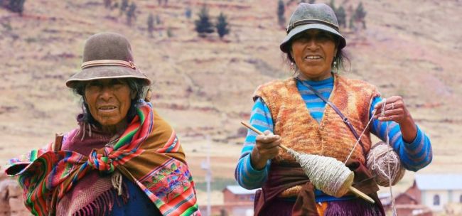 Lama in Machu Picchu
