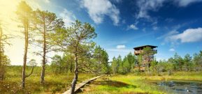 Wasserschloss Trakai in Litauen
