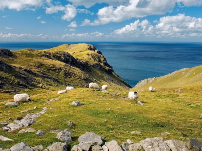 Slieve League Klippen westlich von Killybegs