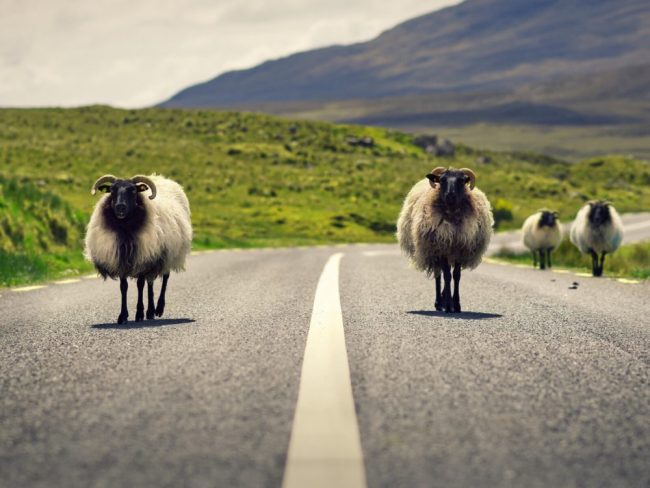 Glenveagh Nationalpark