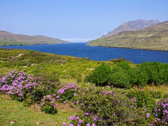 Killary Harbour