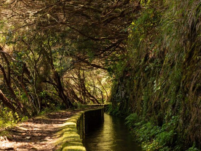 Terrassenlandschaft bei Faj&atilde; do Penedo
