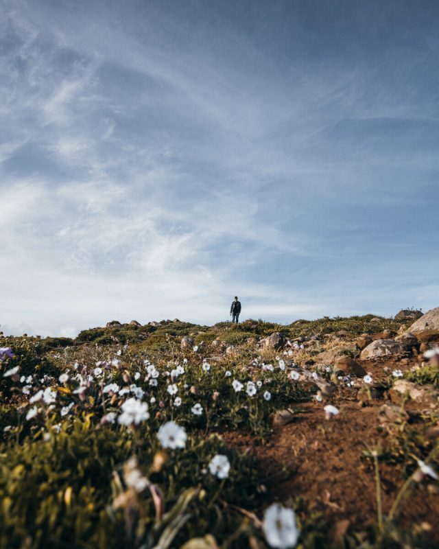 Terrassenlandschaft bei Faj&atilde; do Penedo