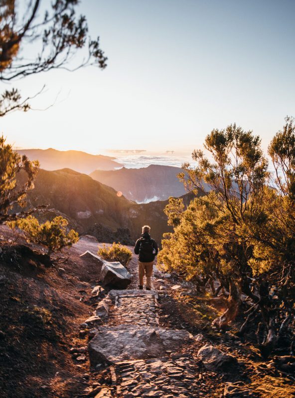 Terrassenlandschaft bei Faj&atilde; do Penedo