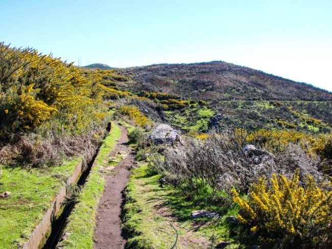 Hochplateau Pa&uacute;l da Serra