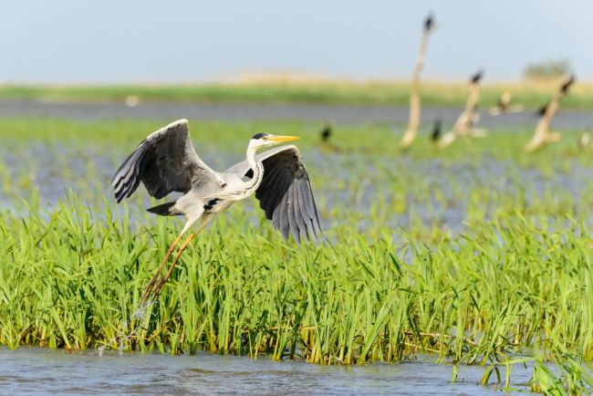 offers_5351fd90-b758-11ed-ad7c-13d0acc225b7